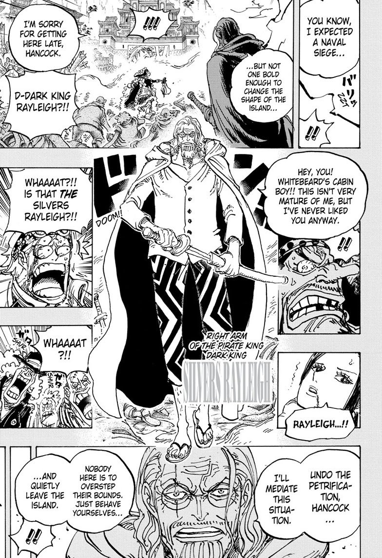 One Piece Manga