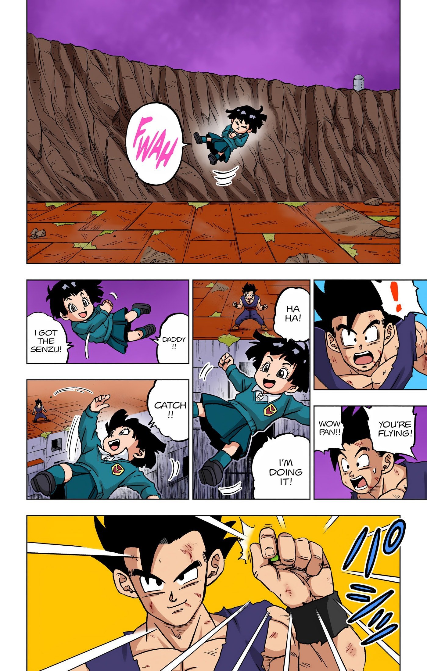 DBS Colored Manga