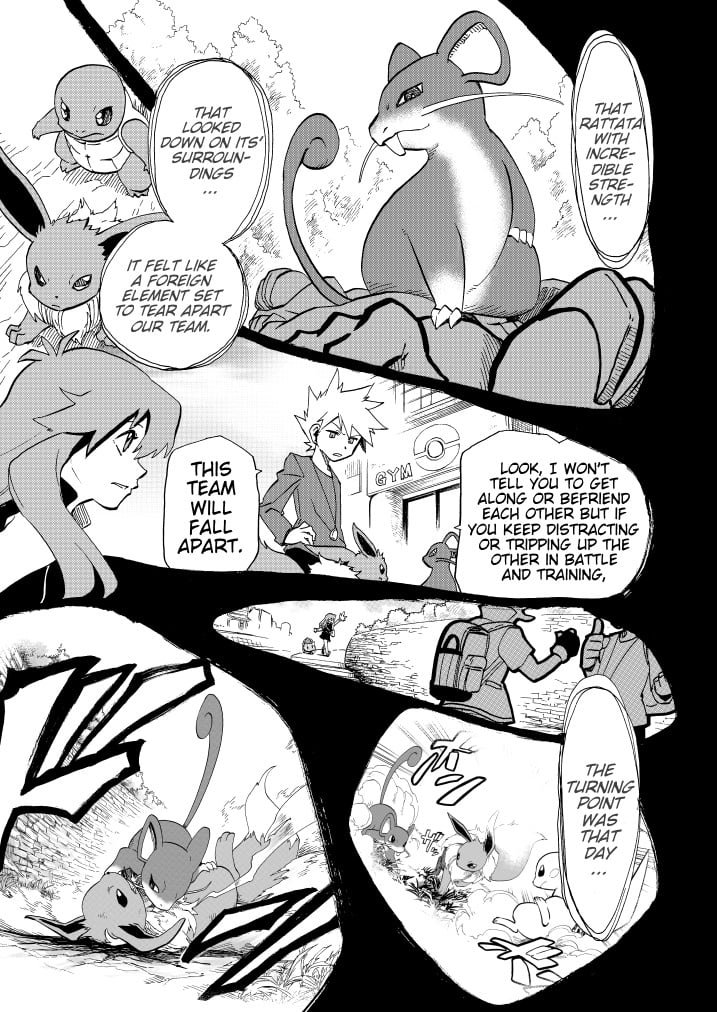 Pokemon - Festival of Champions (Doujinshi)