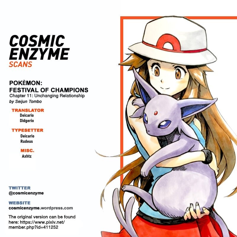 Pokemon - Festival of Champions (Doujinshi)