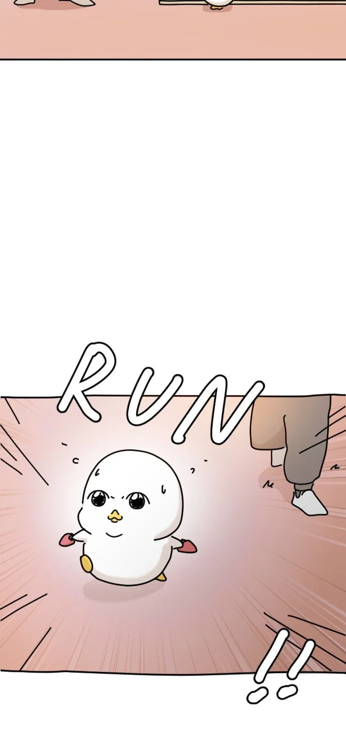 Ducks Are the Best!