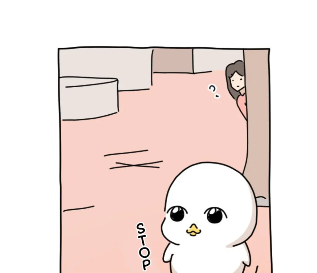 Ducks Are the Best!
