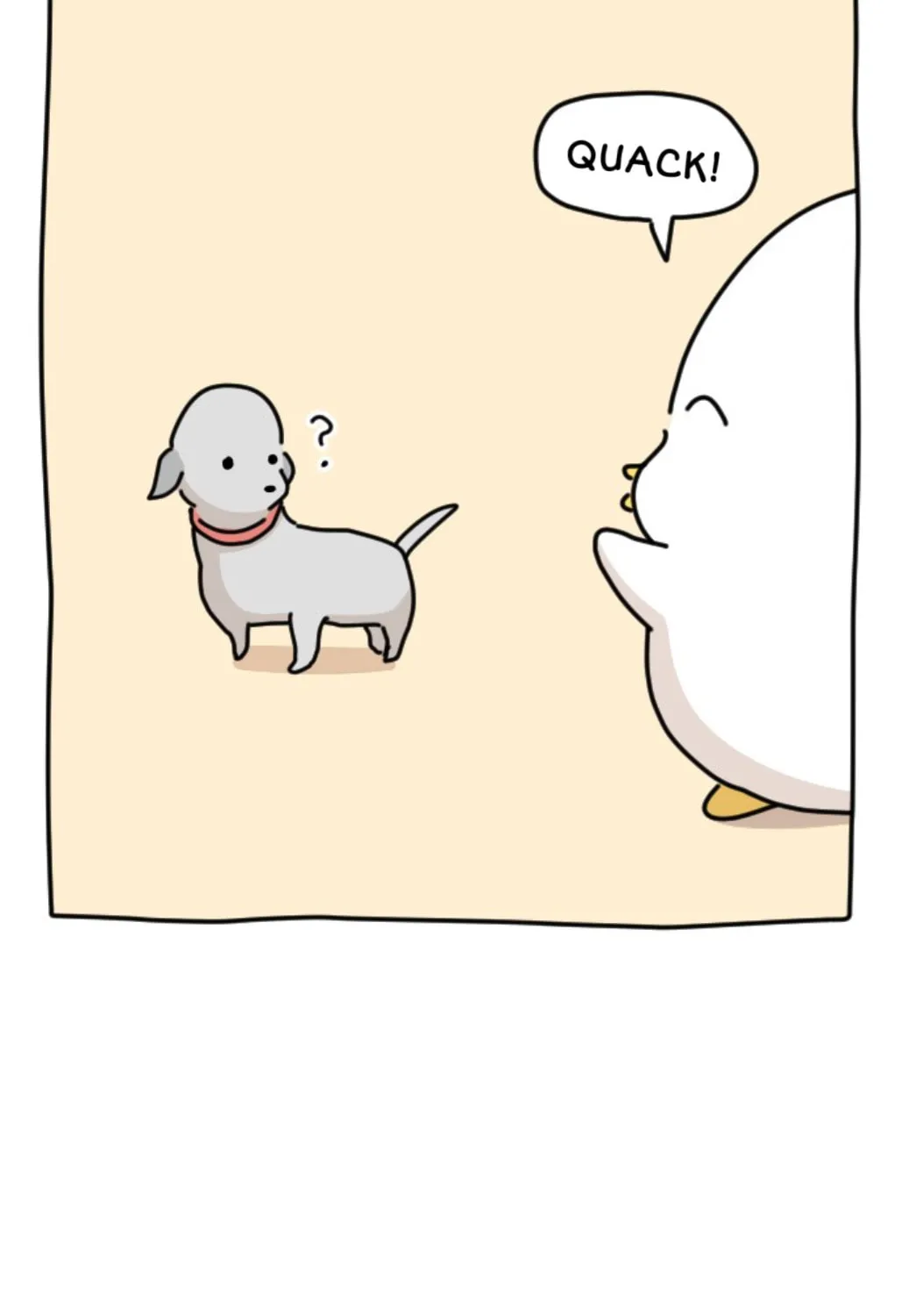 Ducks Are the Best!