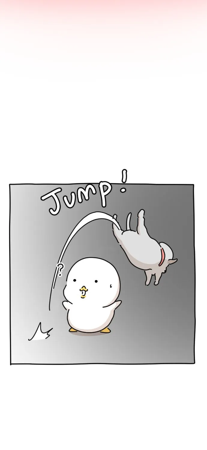 Ducks Are the Best!
