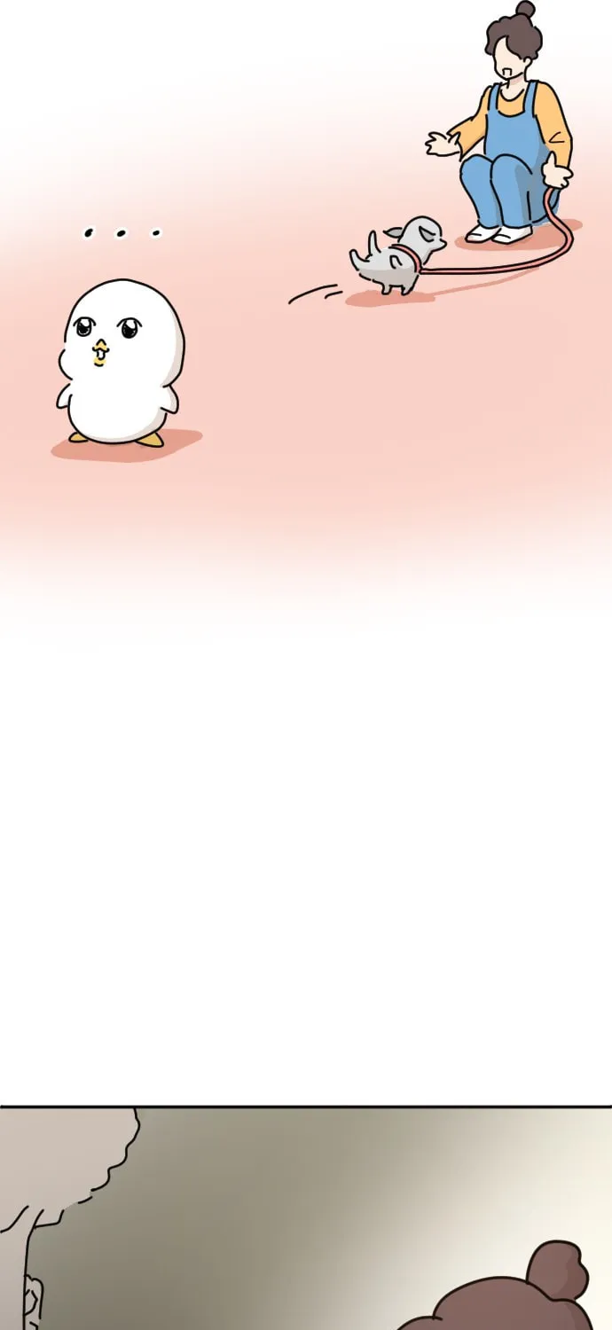 Ducks Are the Best!