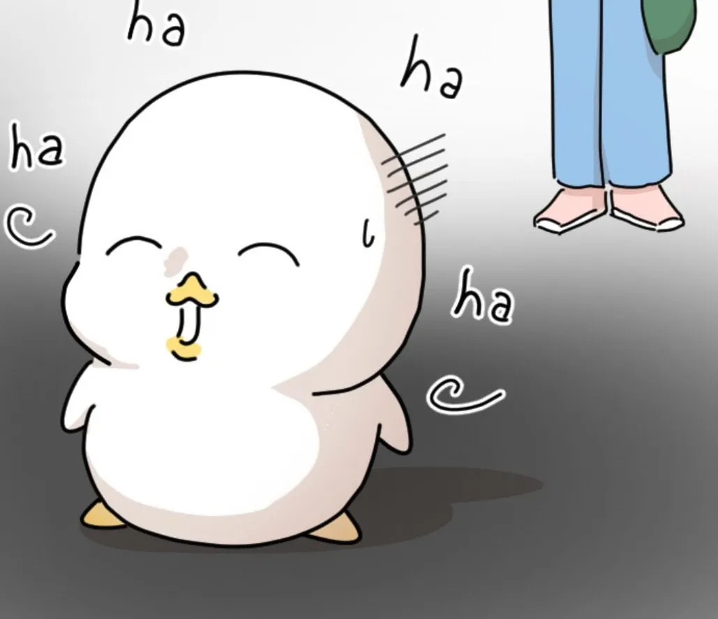Ducks Are the Best!