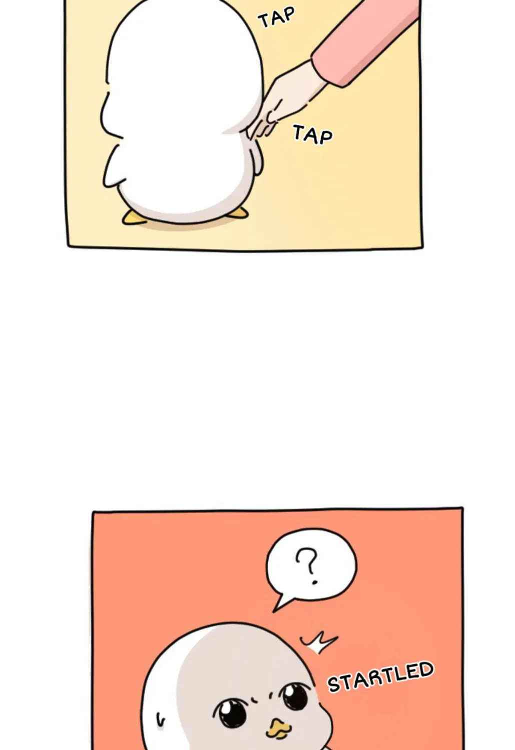 Ducks Are the Best!