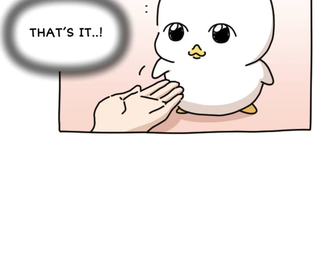 Ducks Are the Best!
