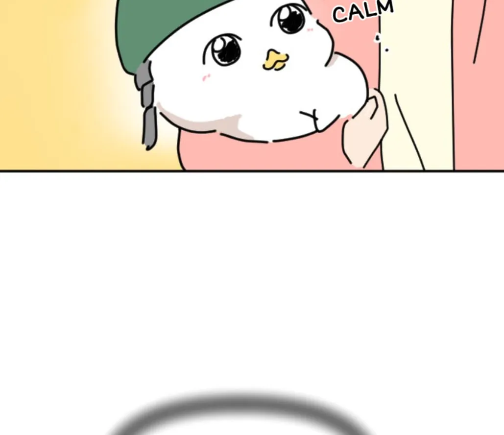 Ducks Are the Best!
