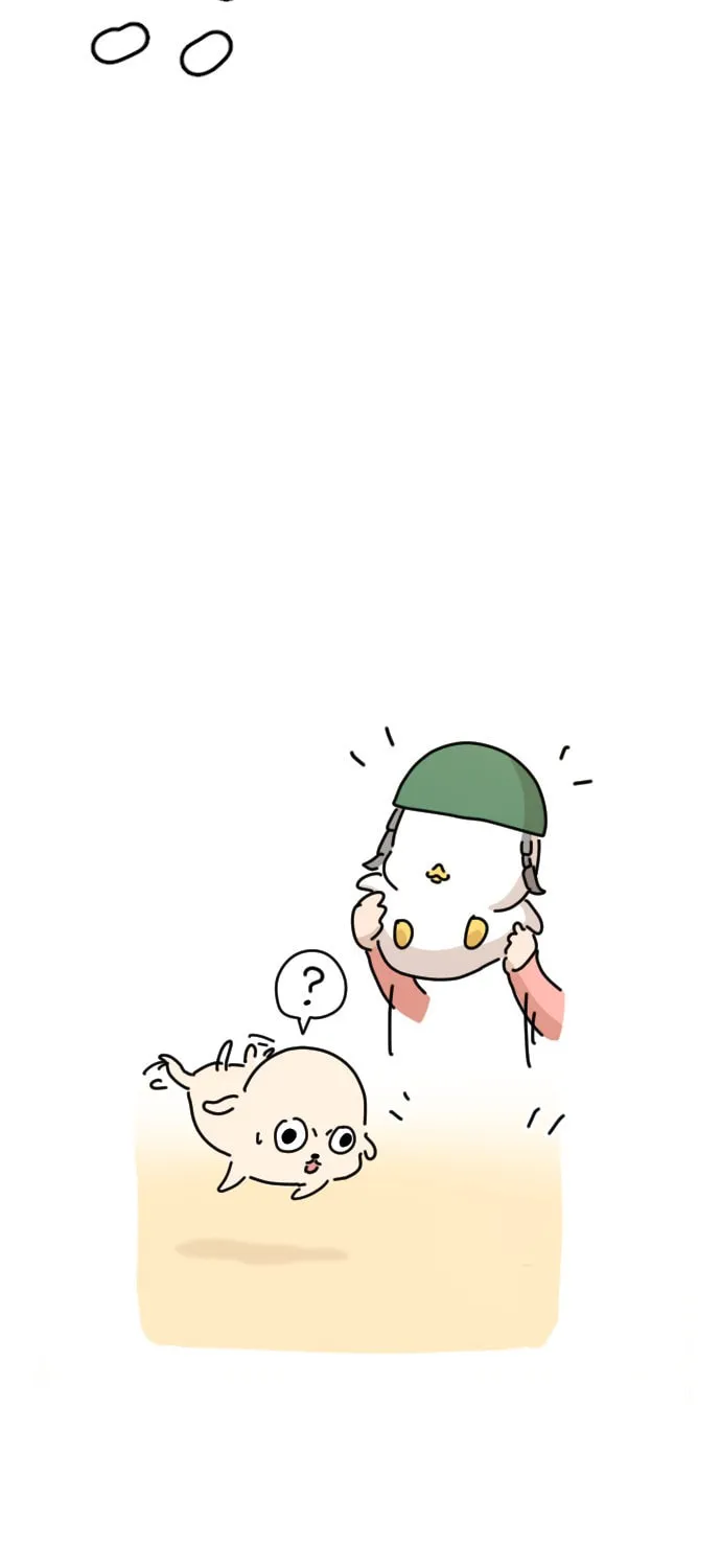 Ducks Are the Best!