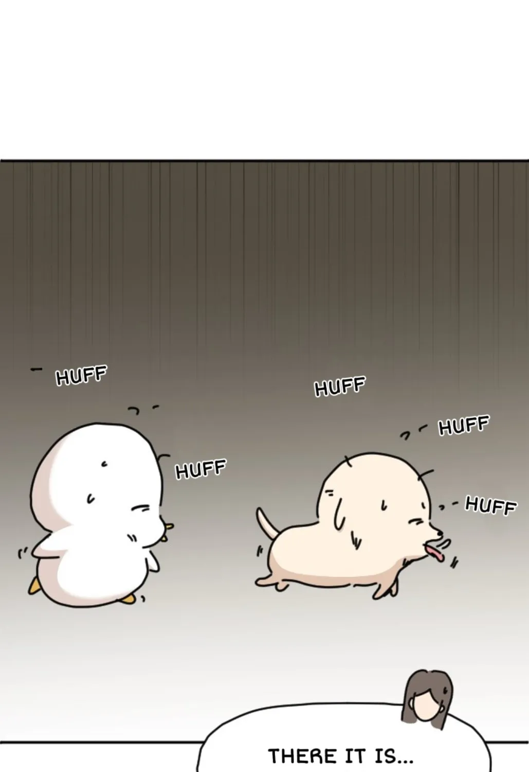 Ducks Are the Best!