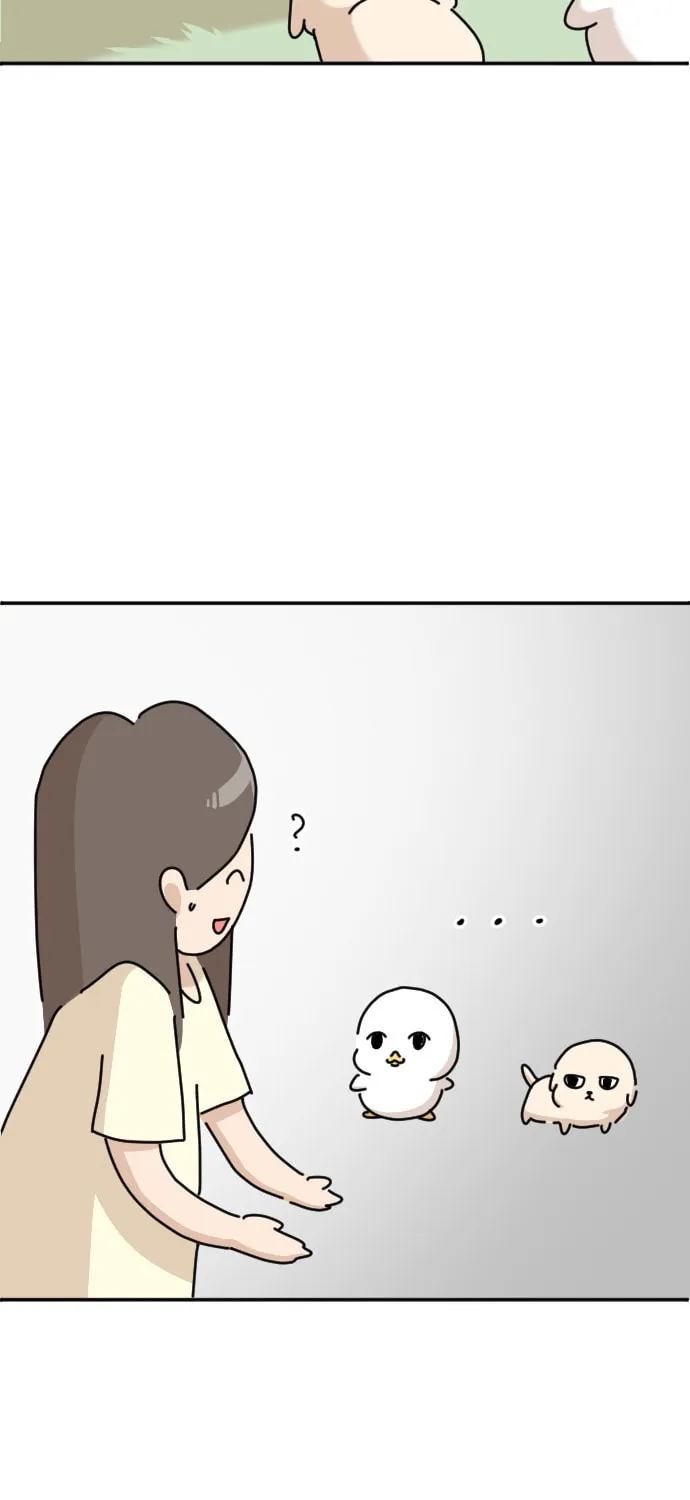 Ducks Are the Best!