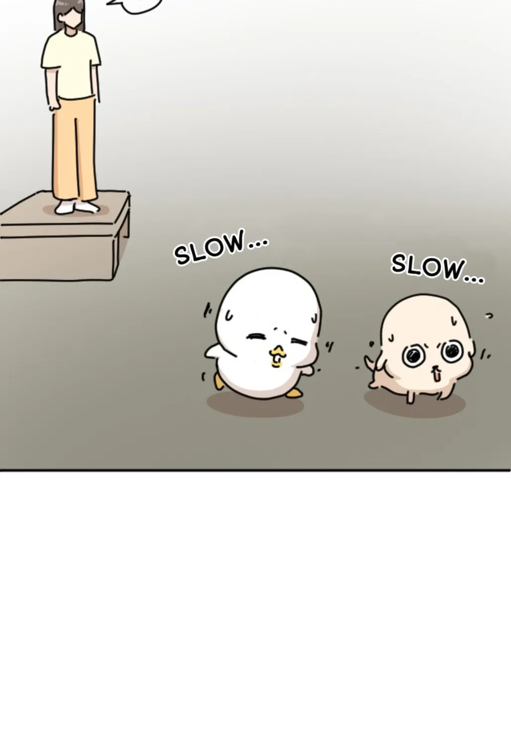 Ducks Are the Best!