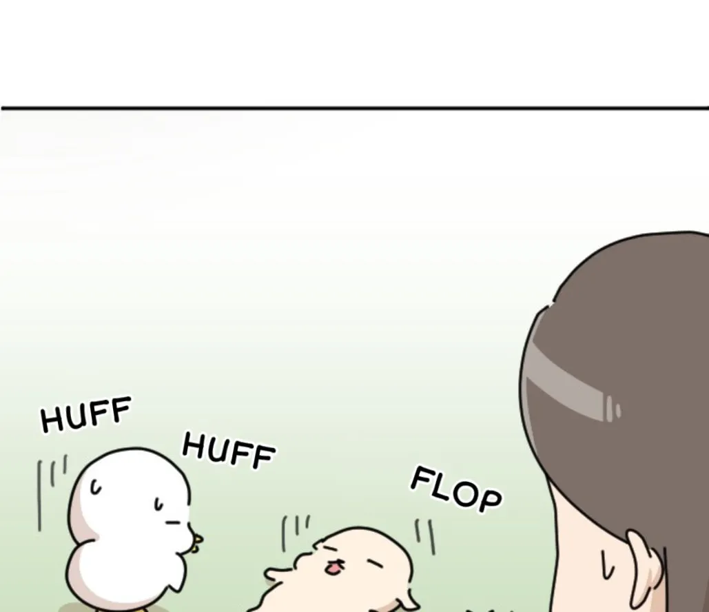 Ducks Are the Best!
