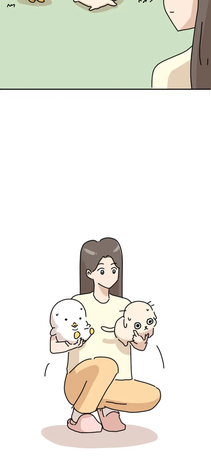 Ducks Are the Best!