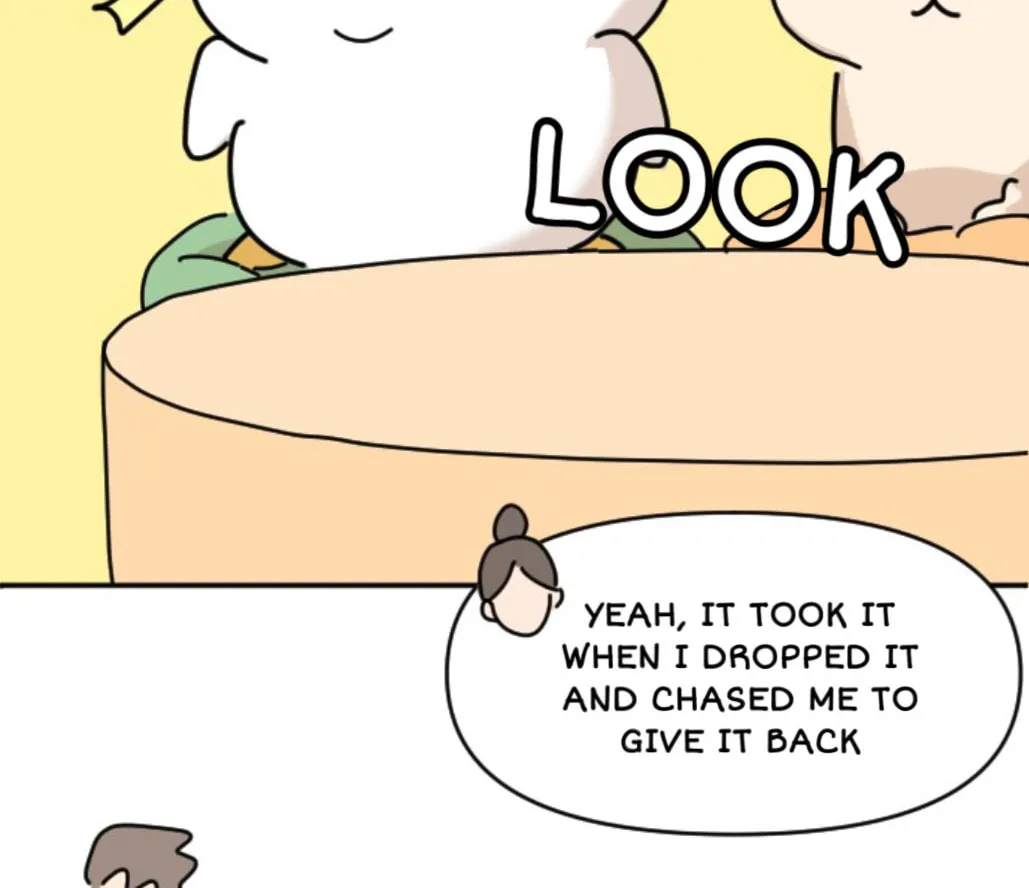 Ducks Are the Best!