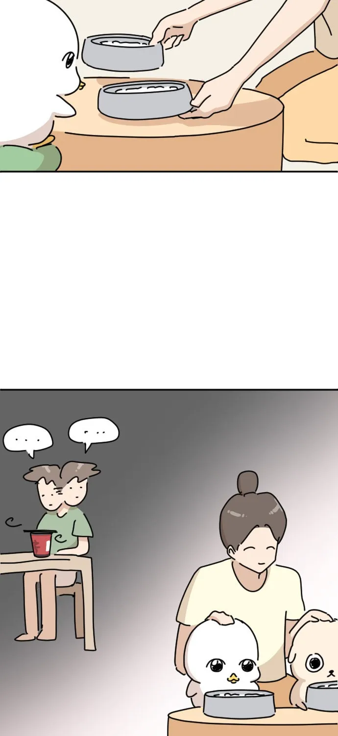 Ducks Are the Best!