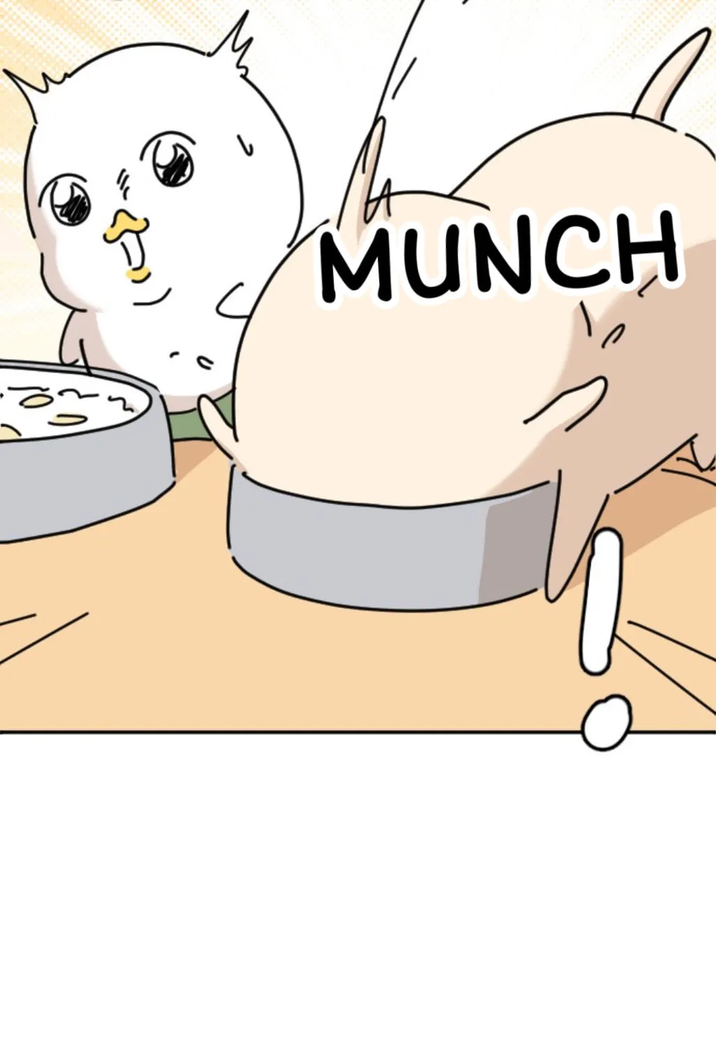 Ducks Are the Best!