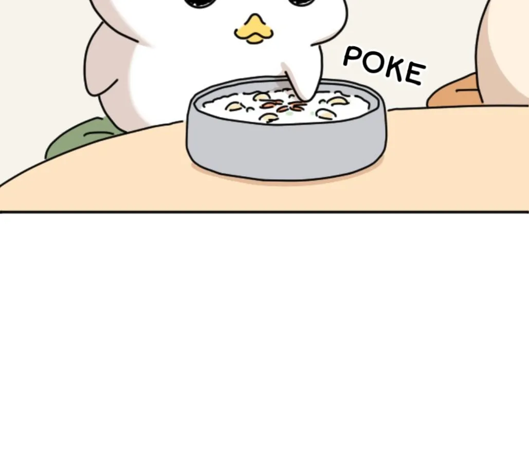 Ducks Are the Best!