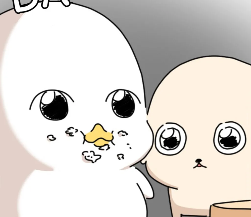 Ducks Are the Best!