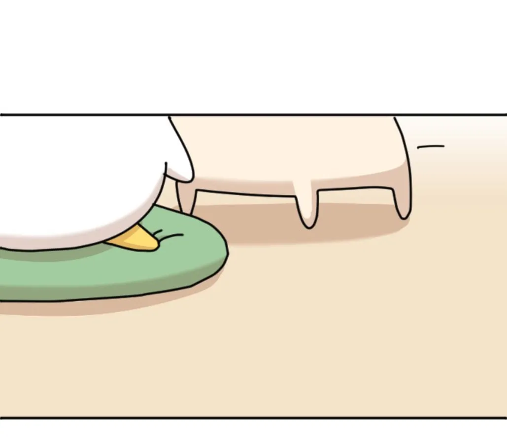 Ducks Are the Best!