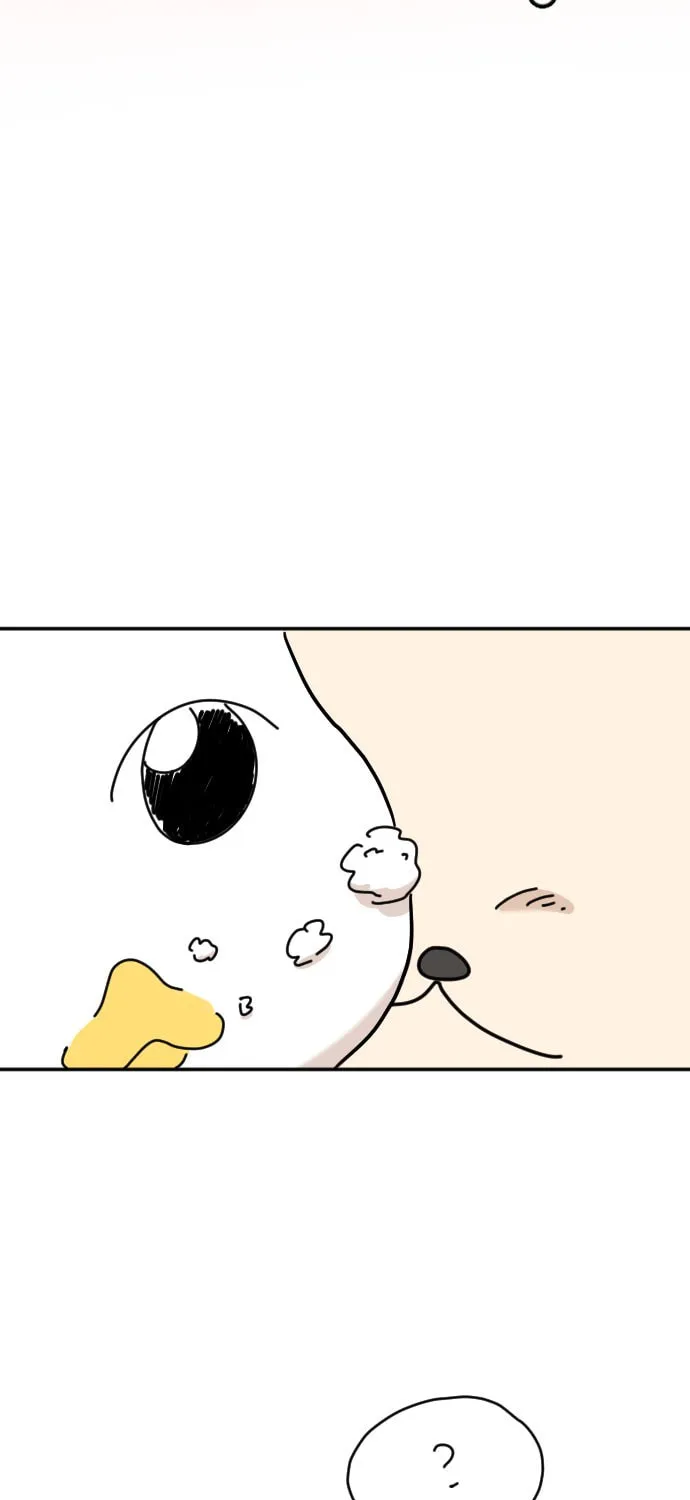 Ducks Are the Best!