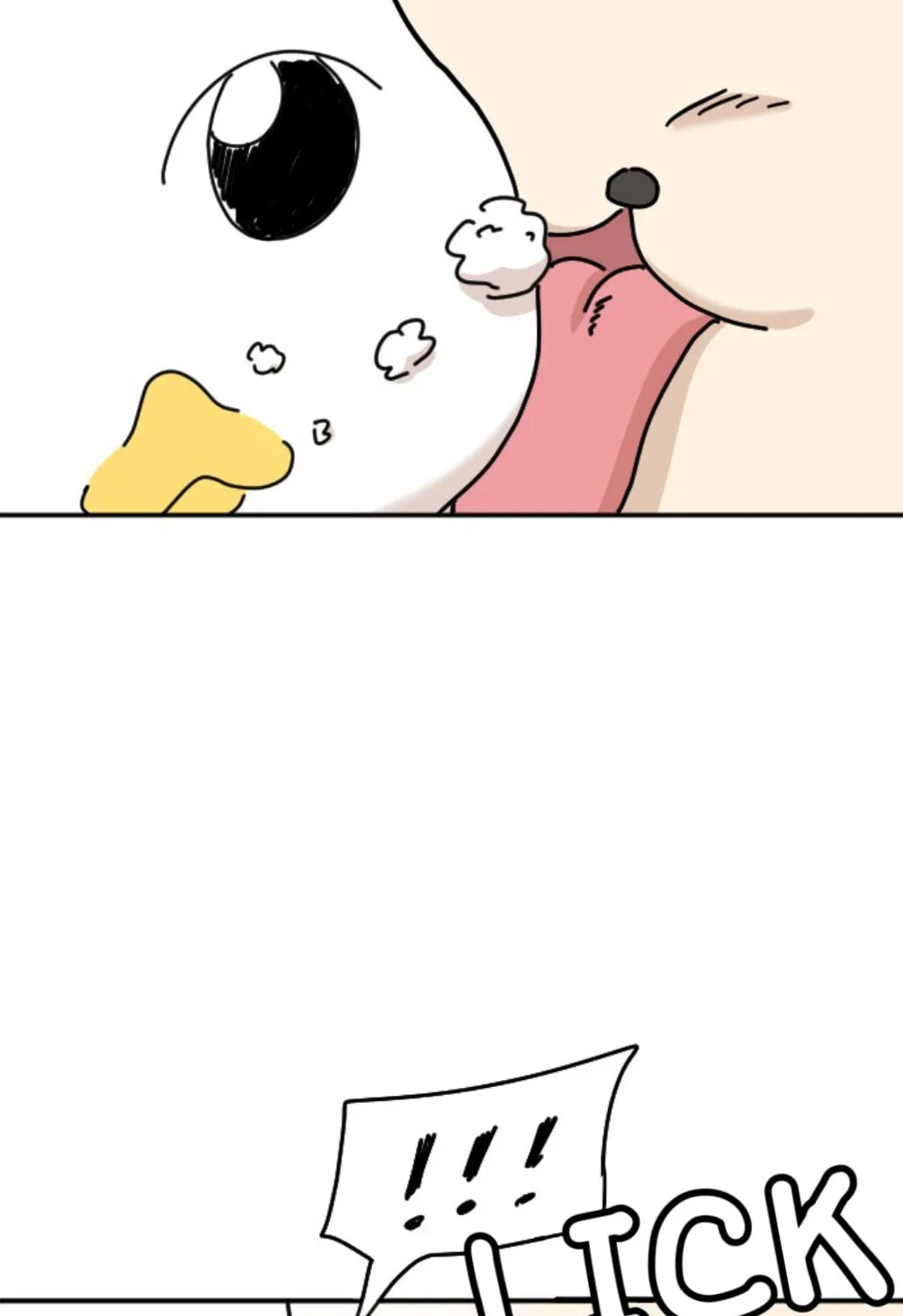 Ducks Are the Best!