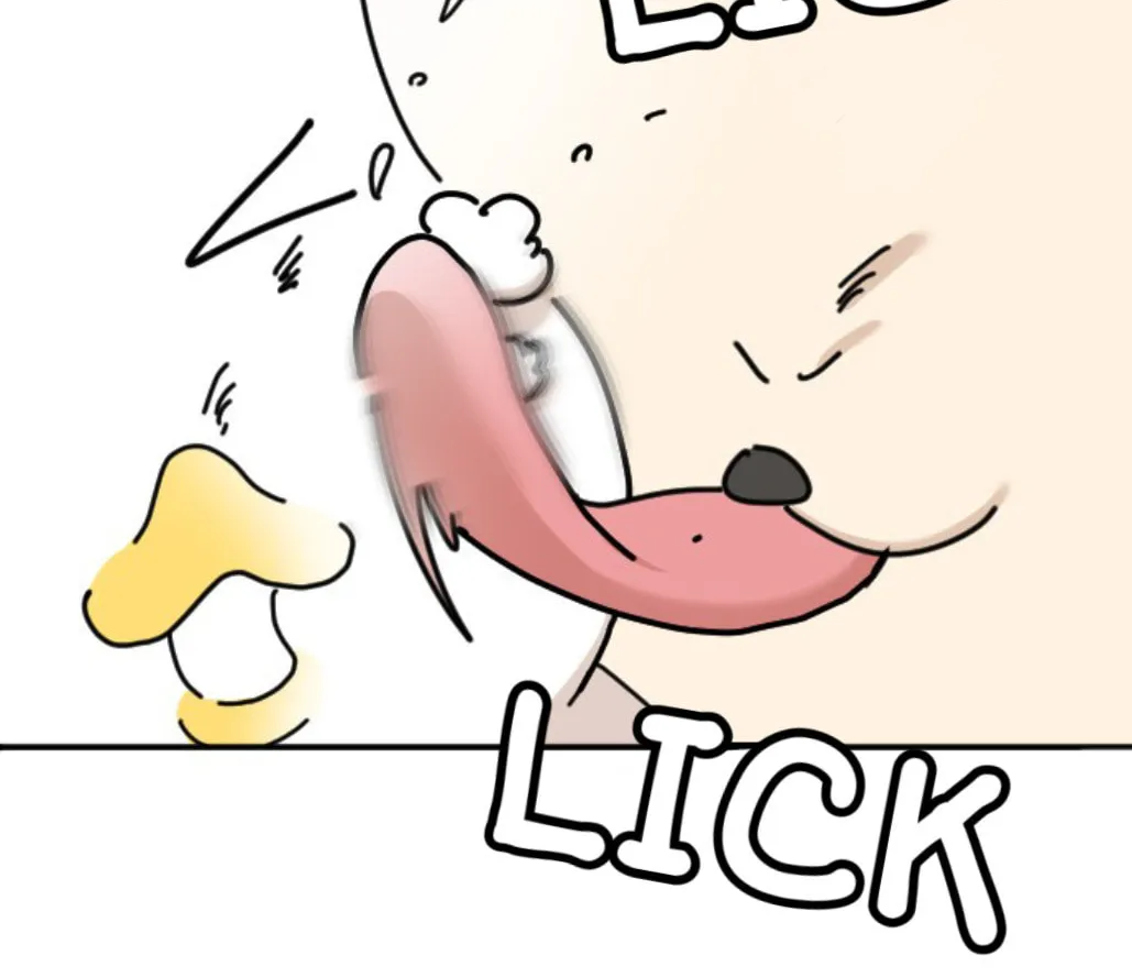 Ducks Are the Best!