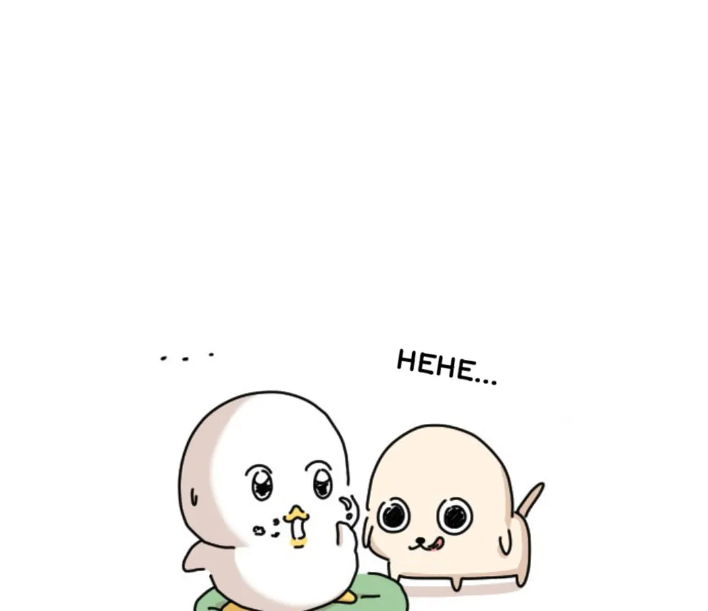 Ducks Are the Best!