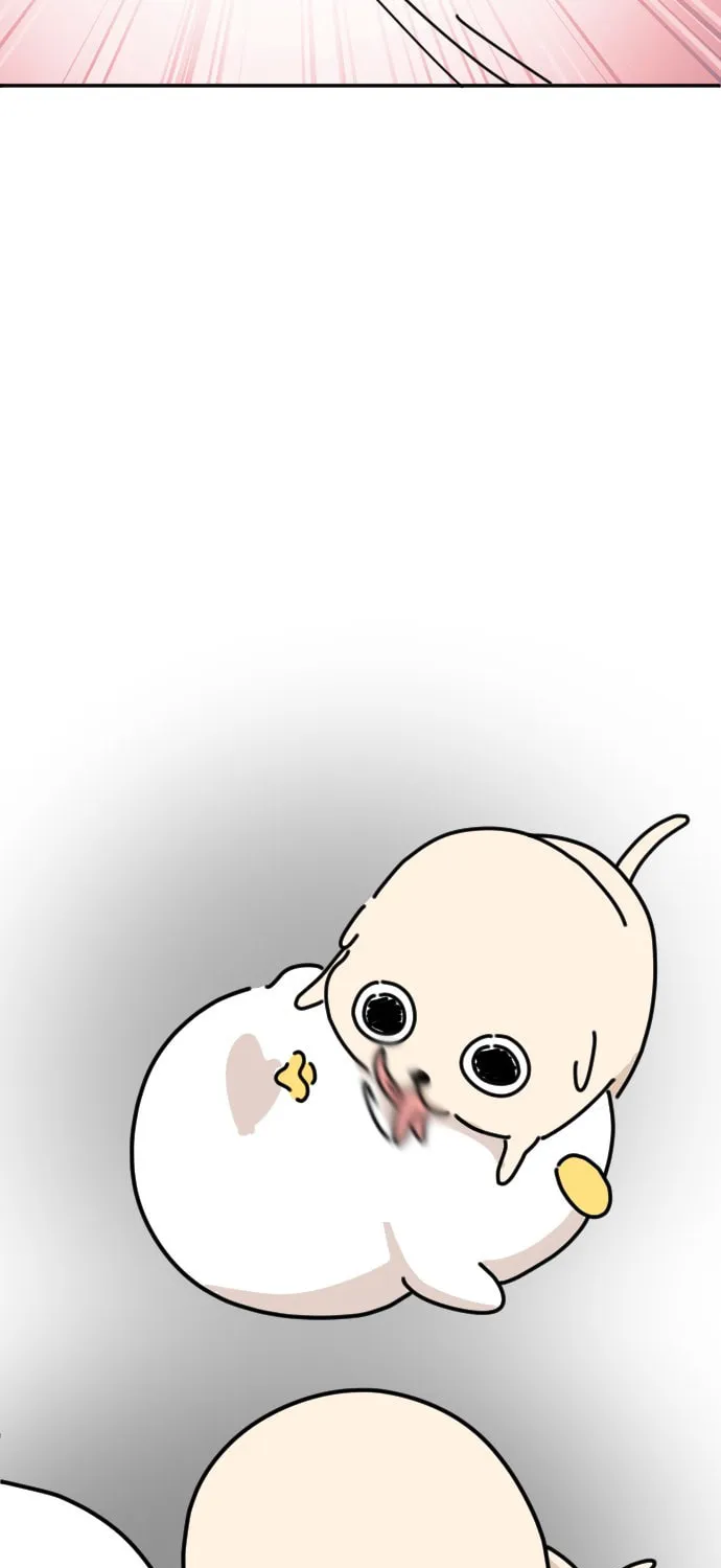 Ducks Are the Best!