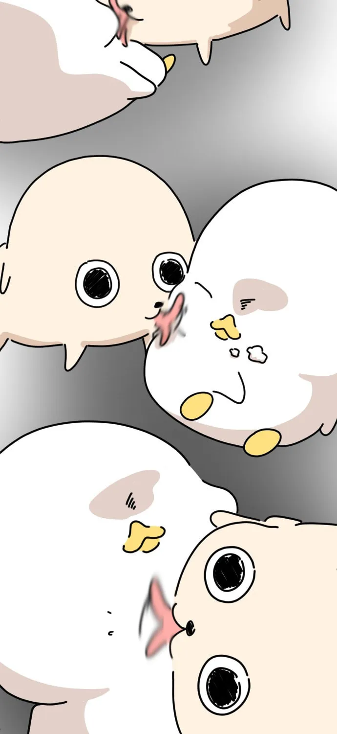 Ducks Are the Best!