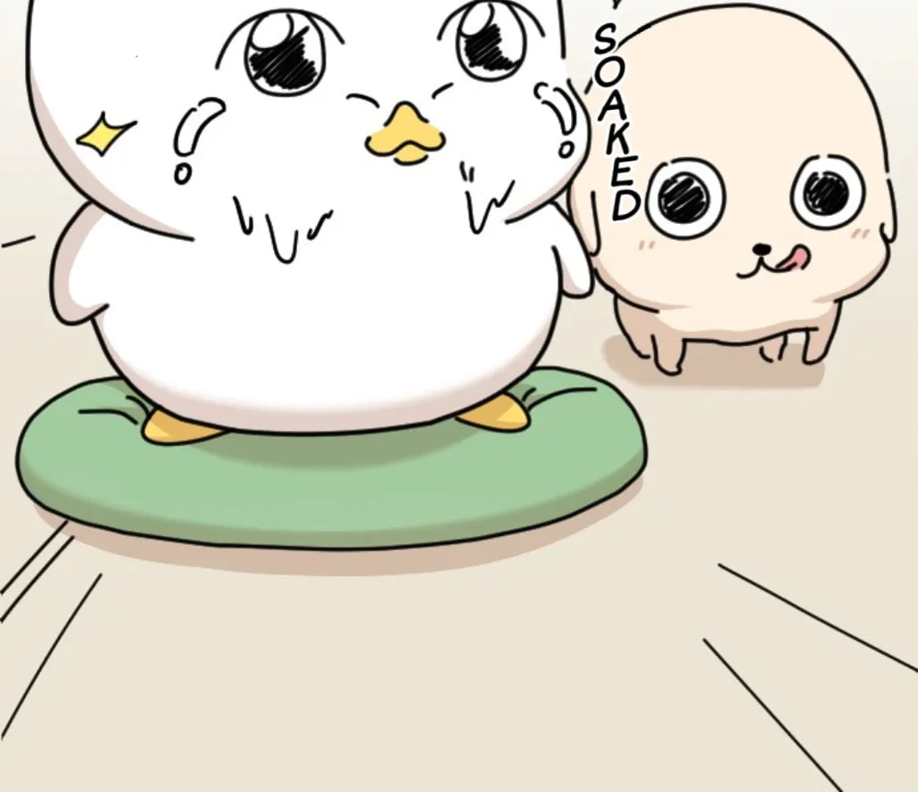 Ducks Are the Best!