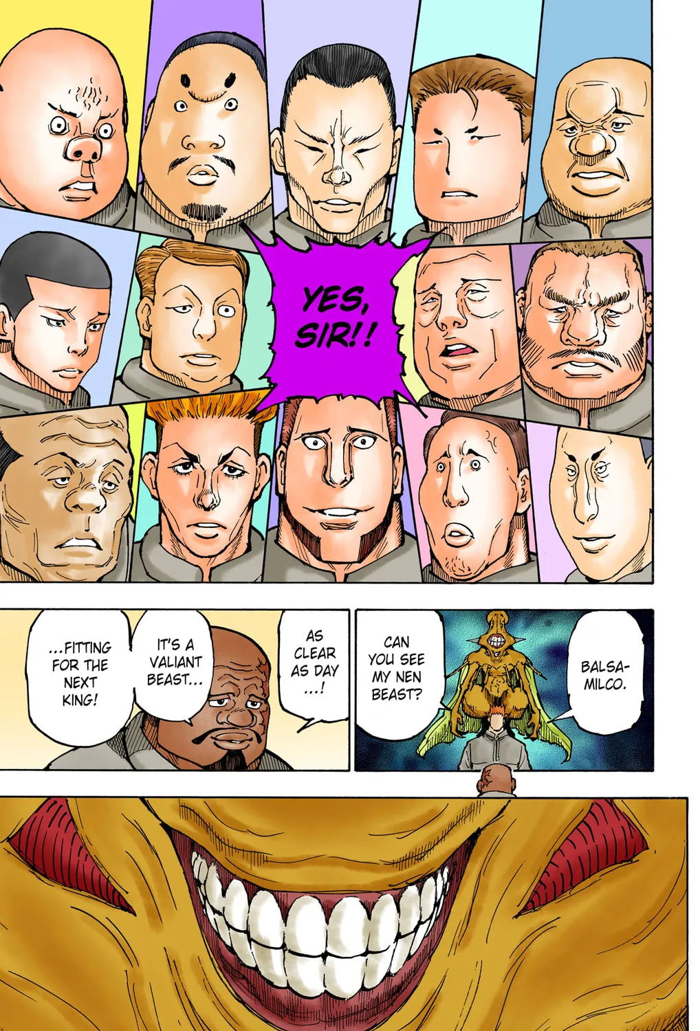 Hunter x Hunter Colored Manga