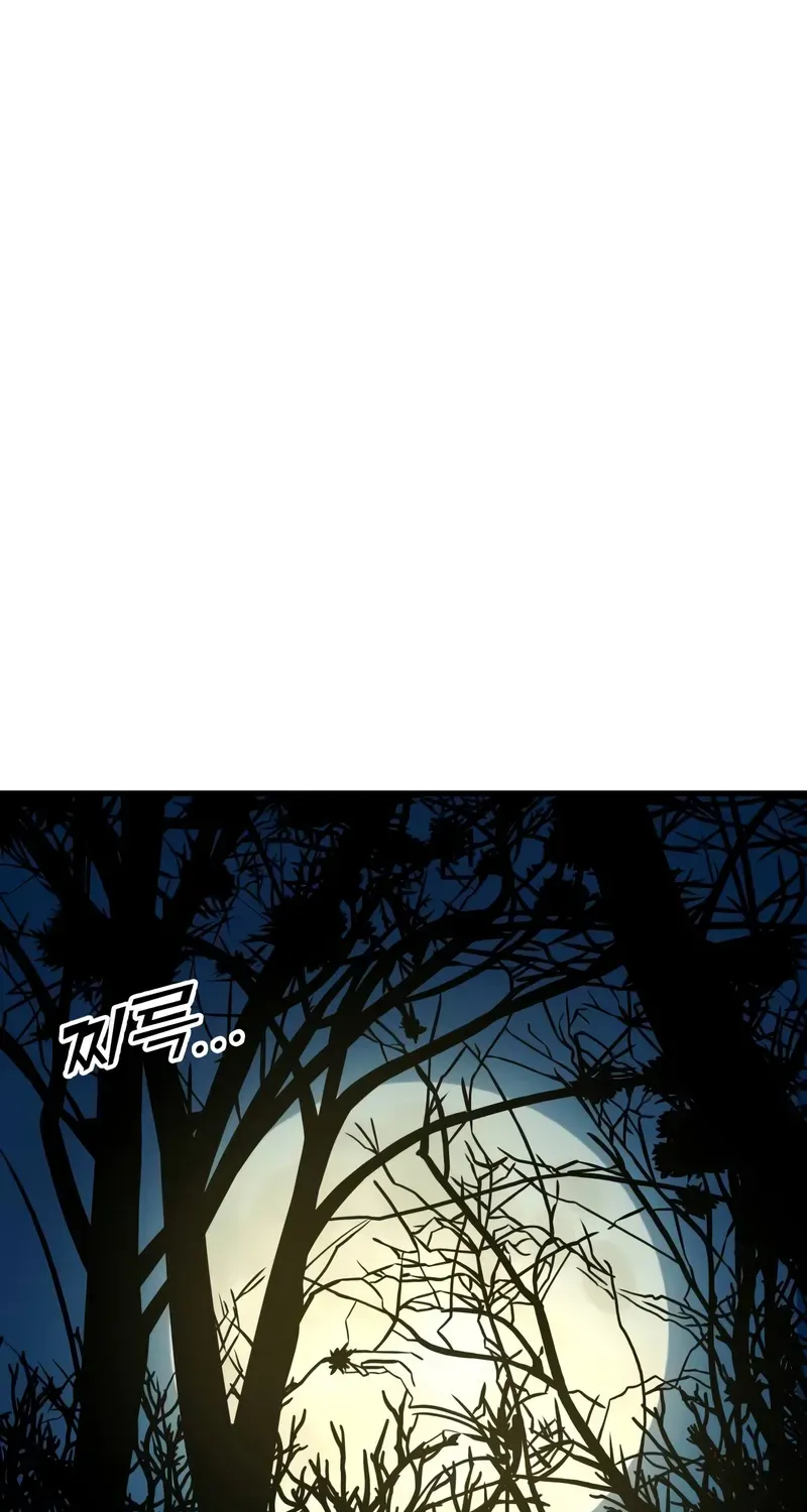 The Wandering Knight’s Survival Manual