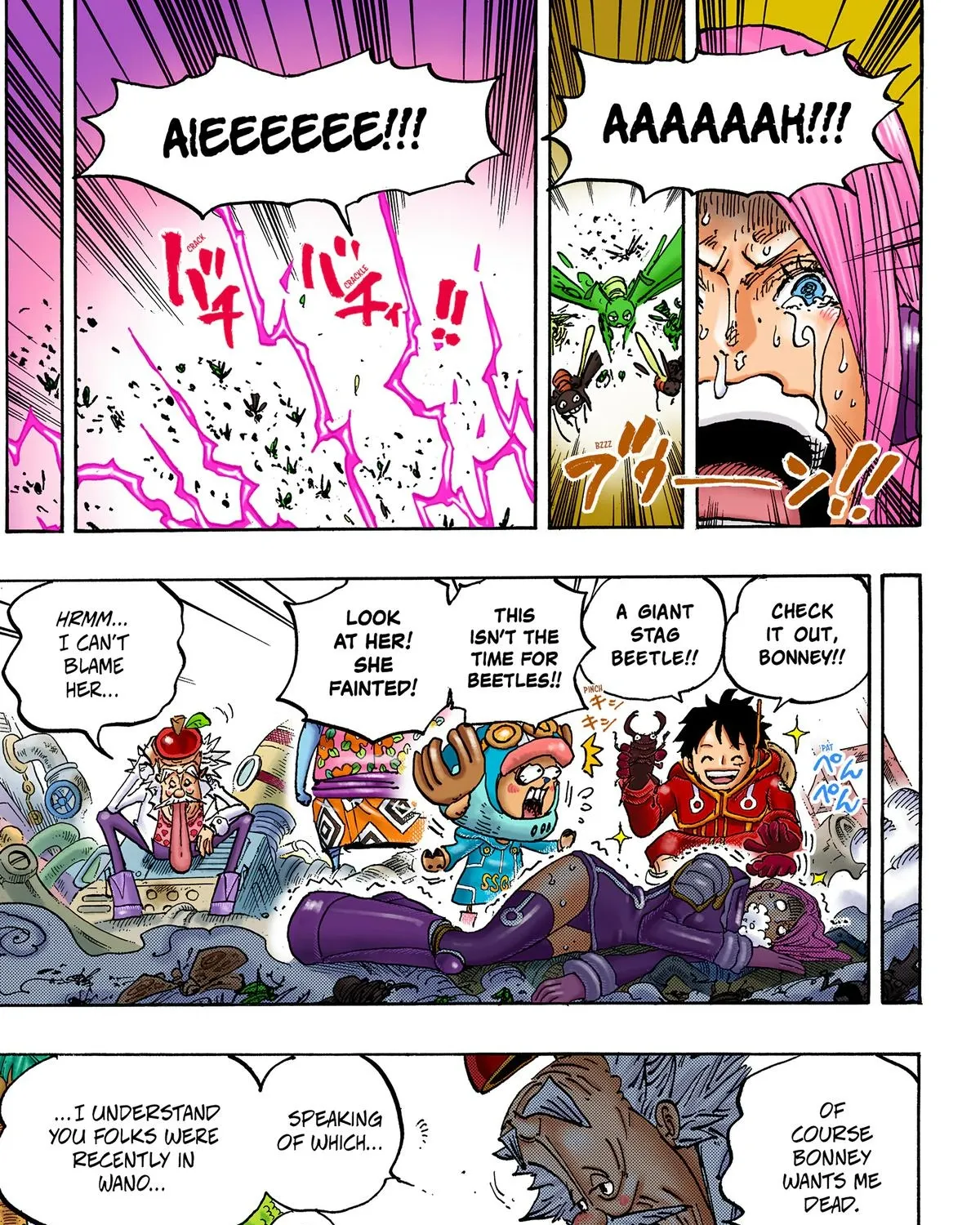 One Piece Colored Manga 