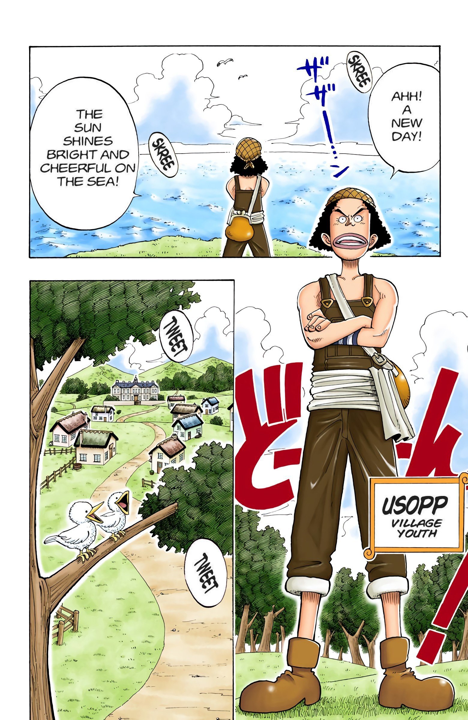 One Piece Colored Manga