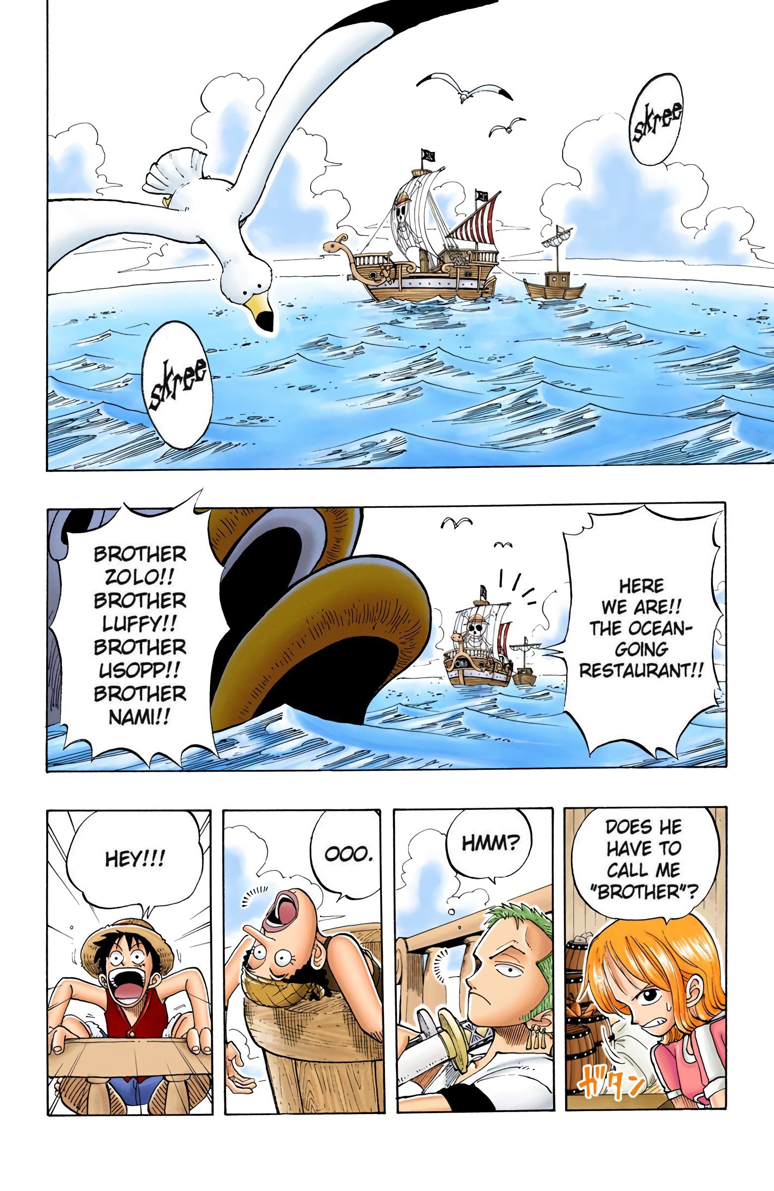 One Piece Colored Manga