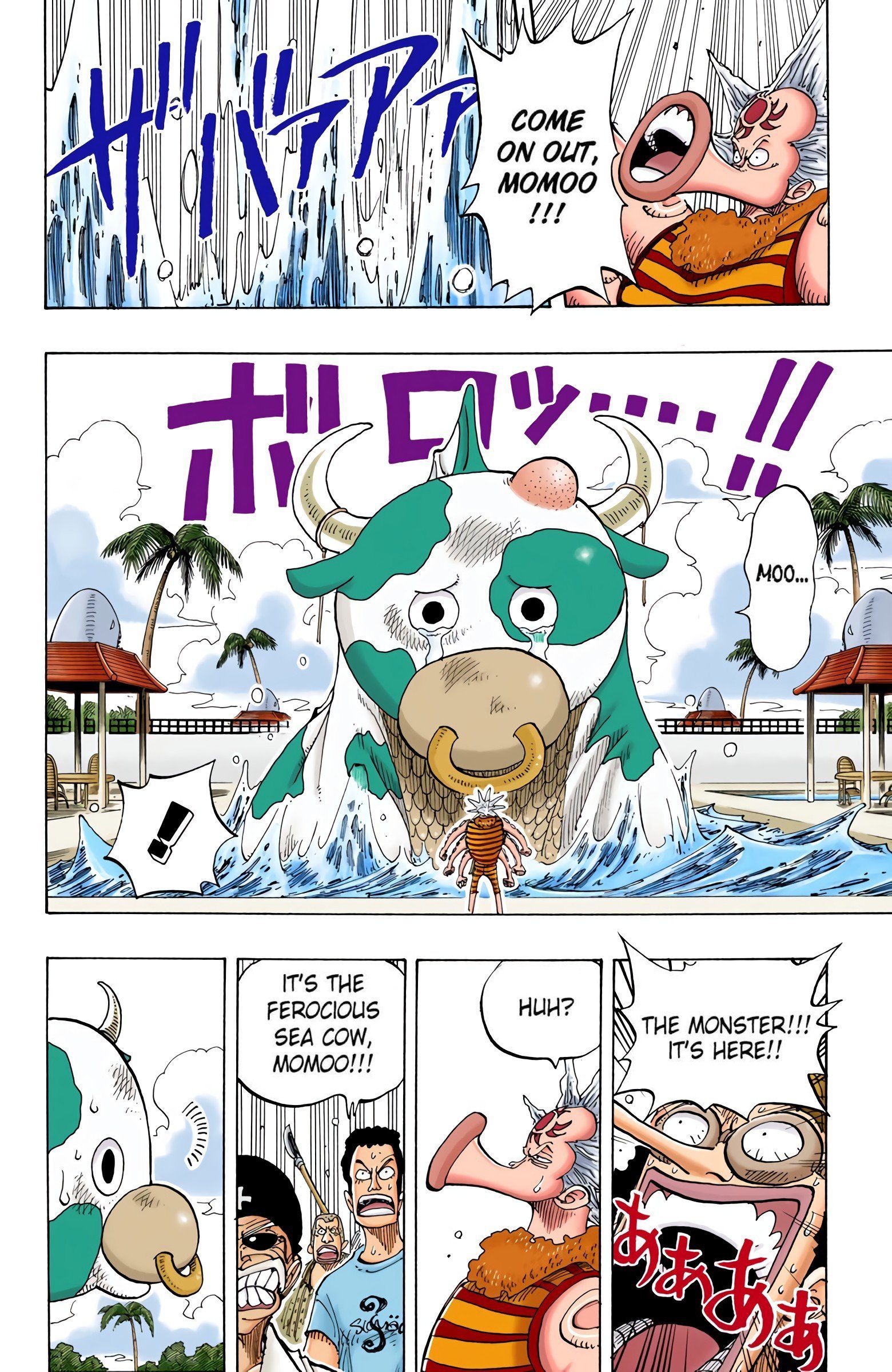 One Piece Colored Manga