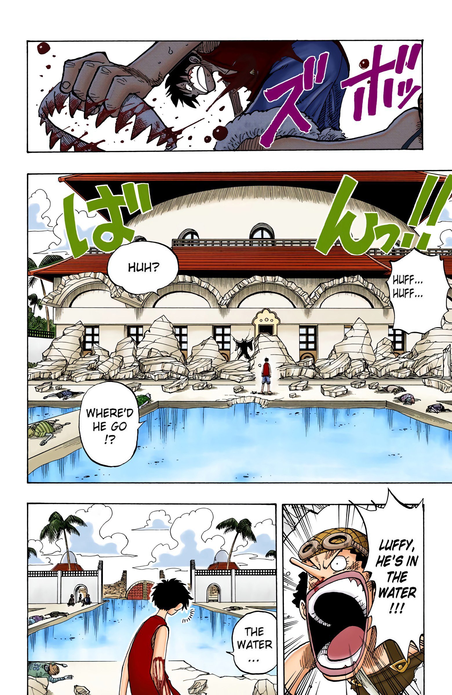 One Piece Colored Manga