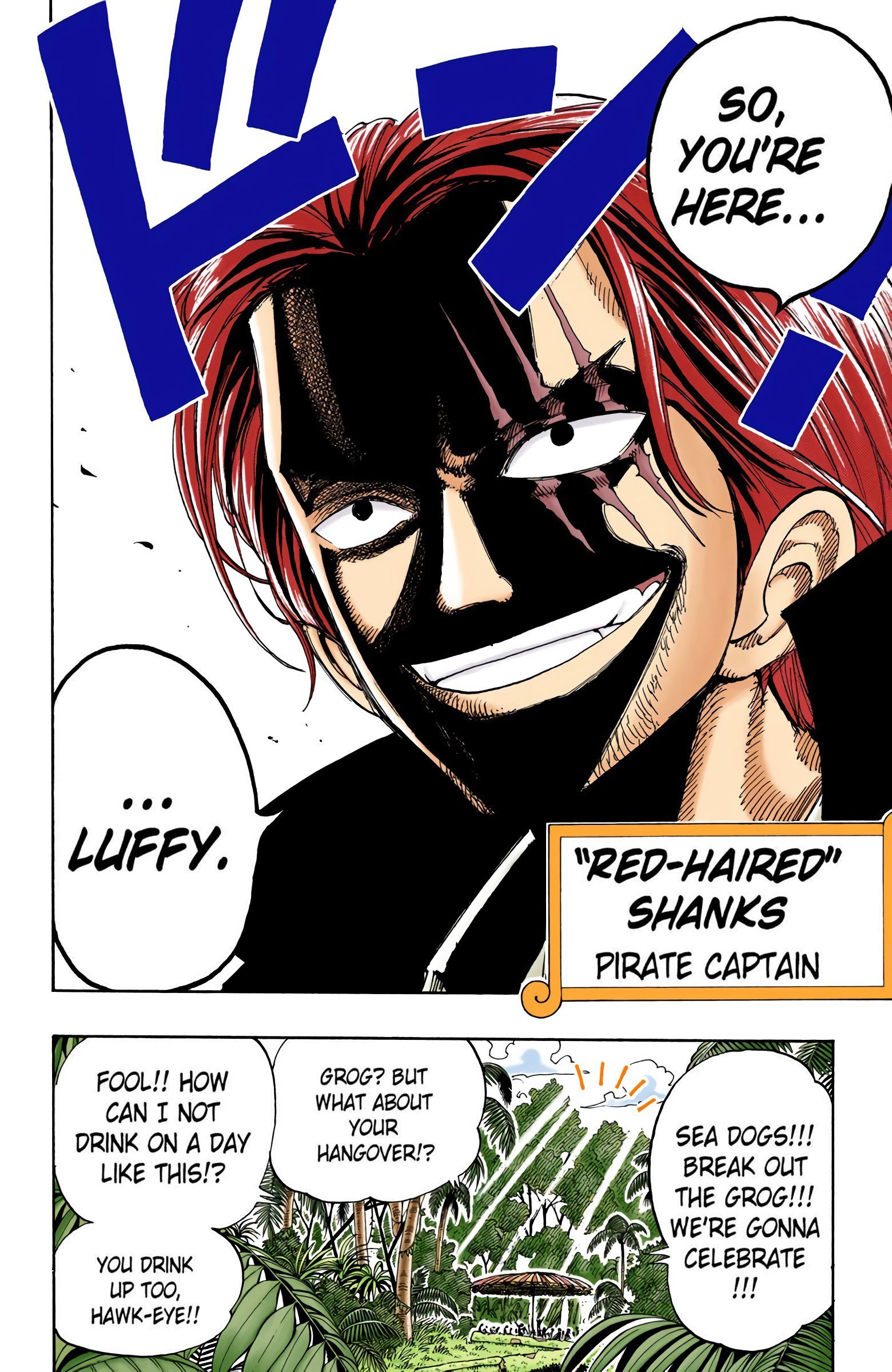 One Piece Colored Manga