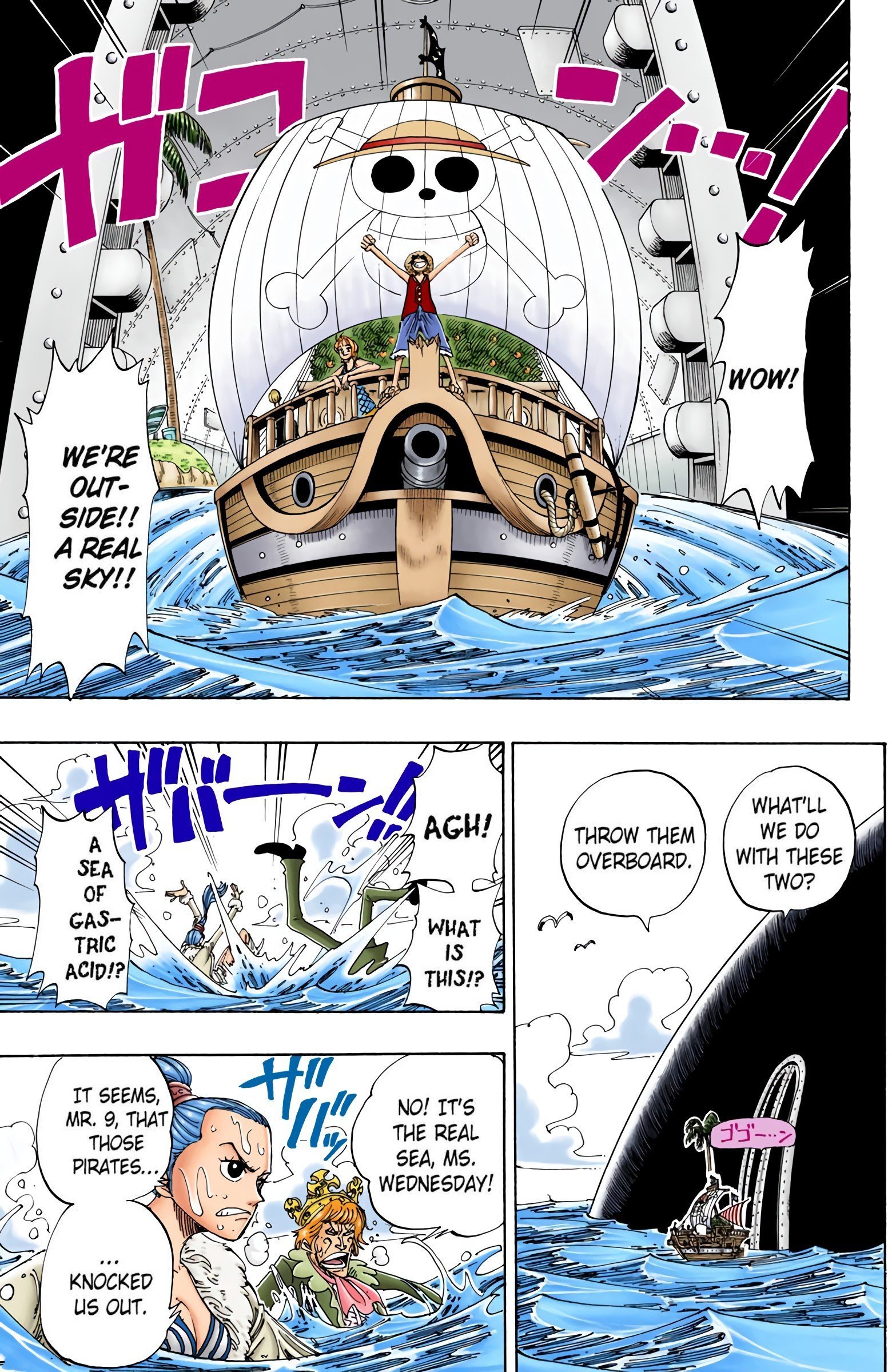 One Piece Colored Manga