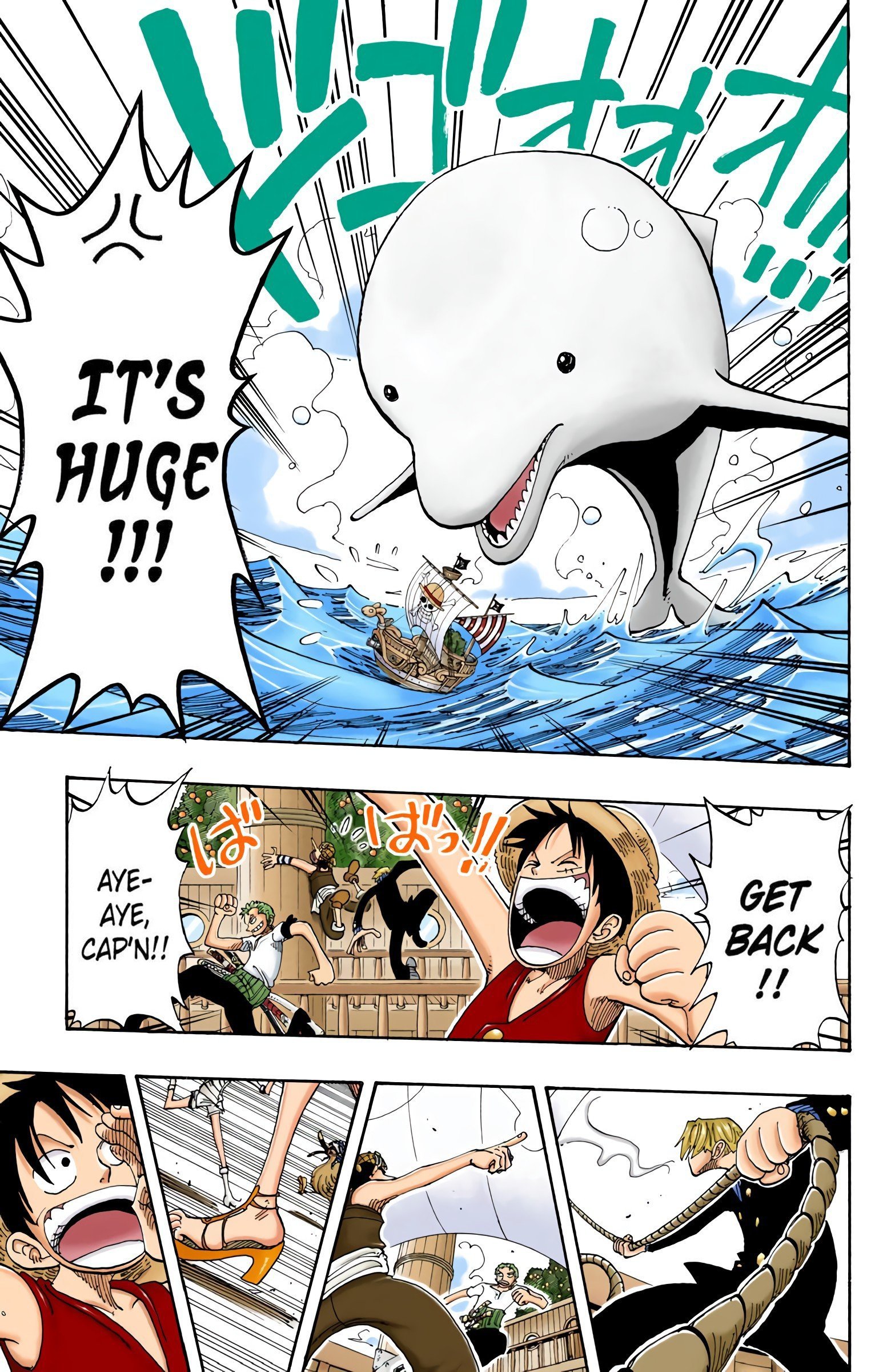 One Piece Colored Manga