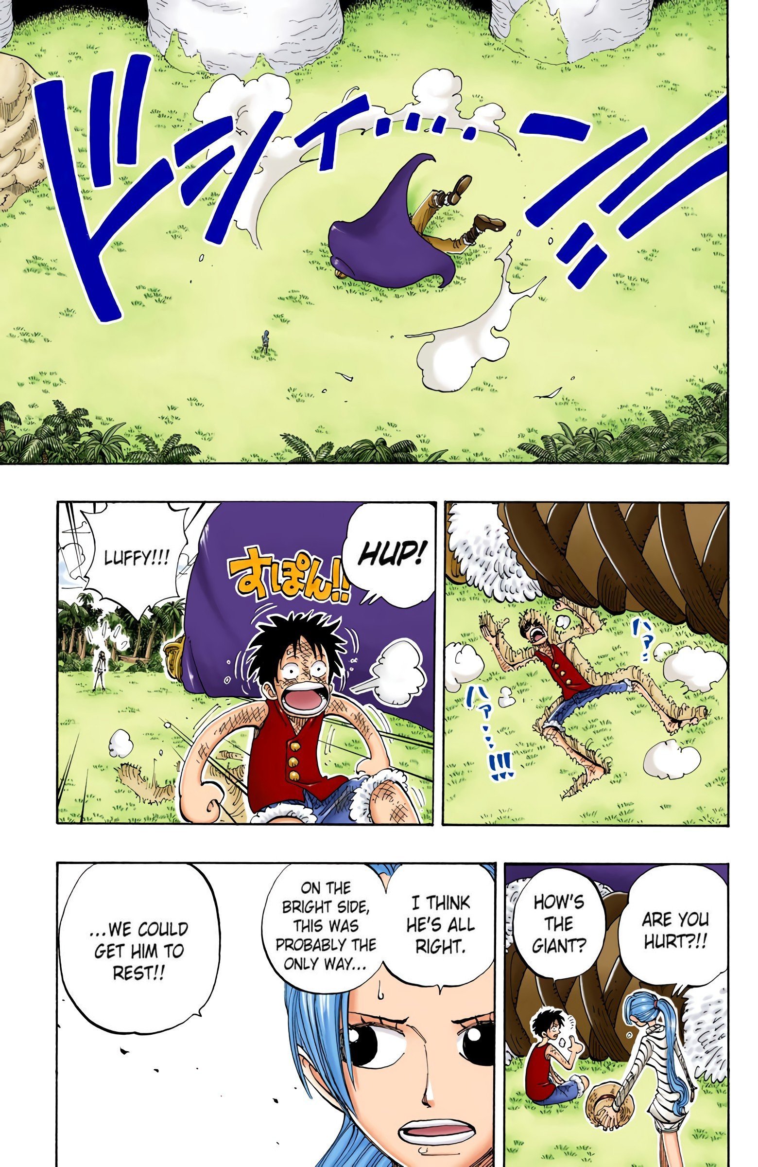 One Piece Colored Manga