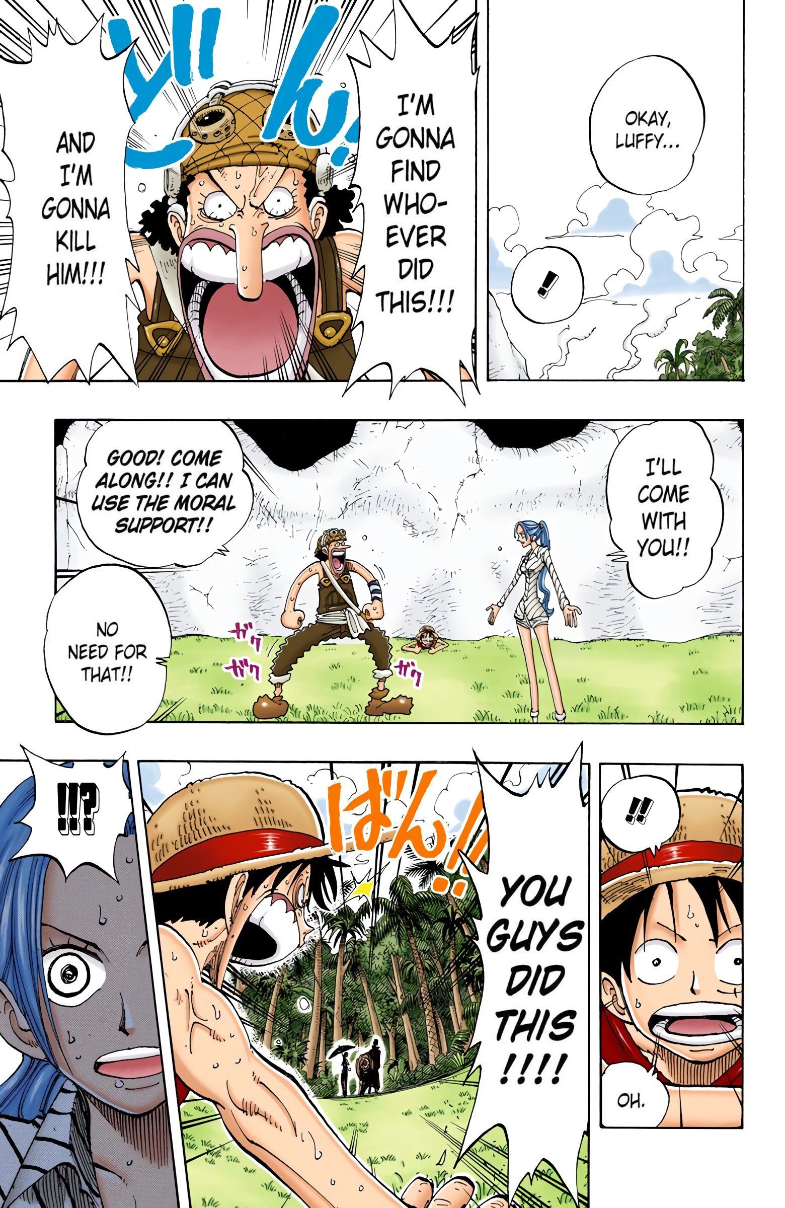 One Piece Colored Manga