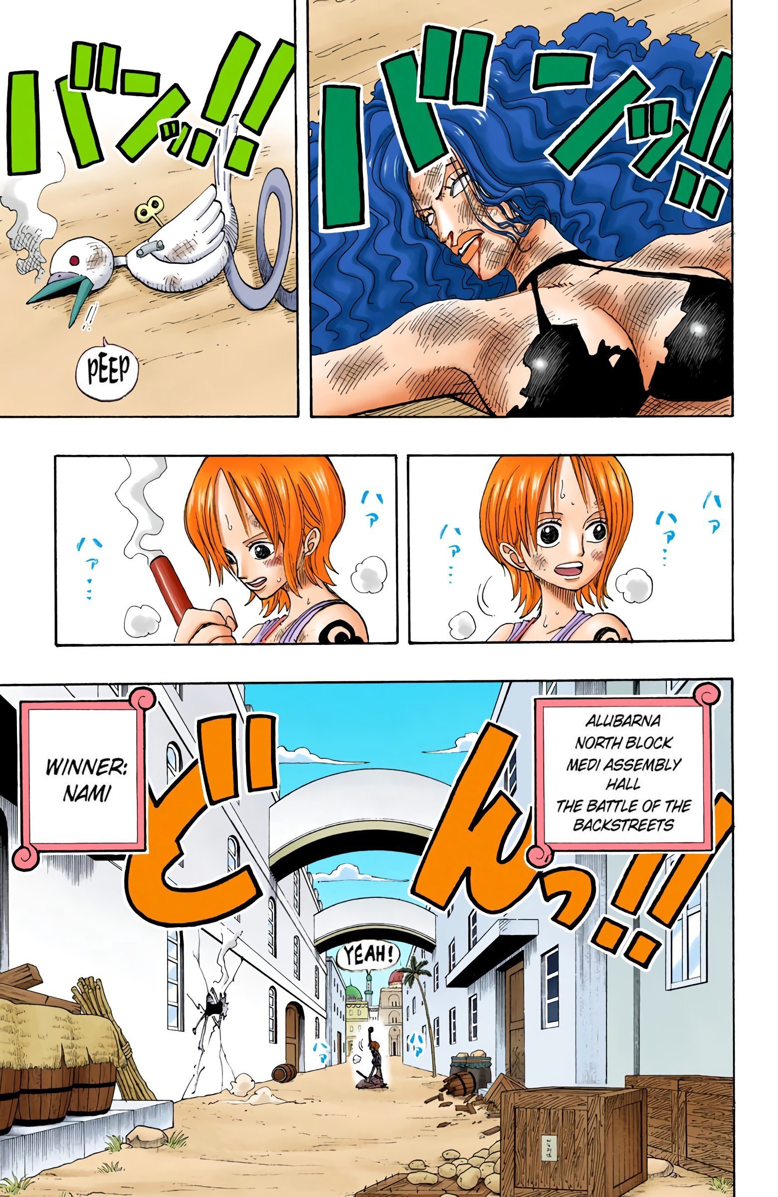 One Piece Colored Manga