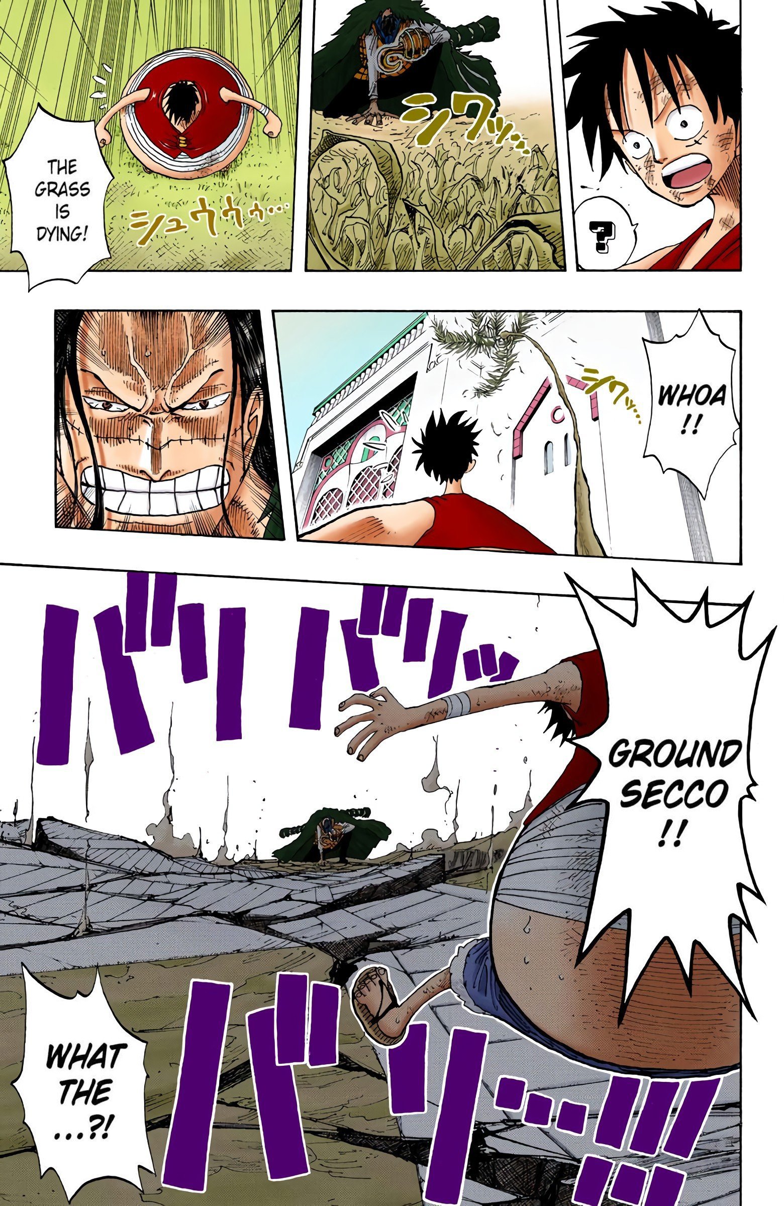 One Piece Colored Manga