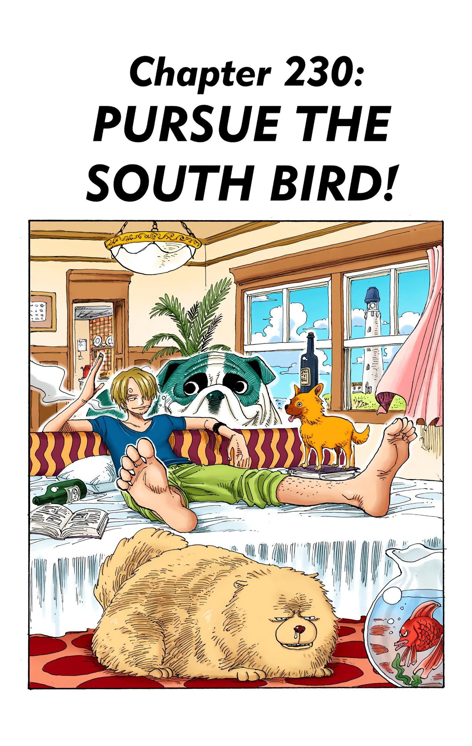 One Piece Colored Manga