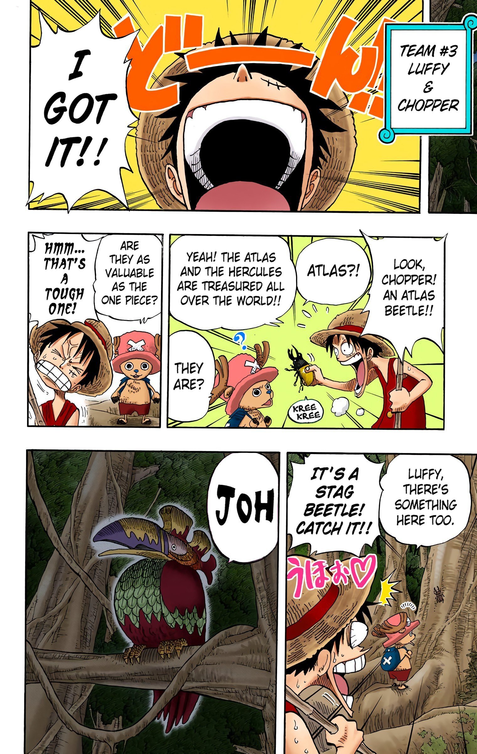 One Piece Colored Manga