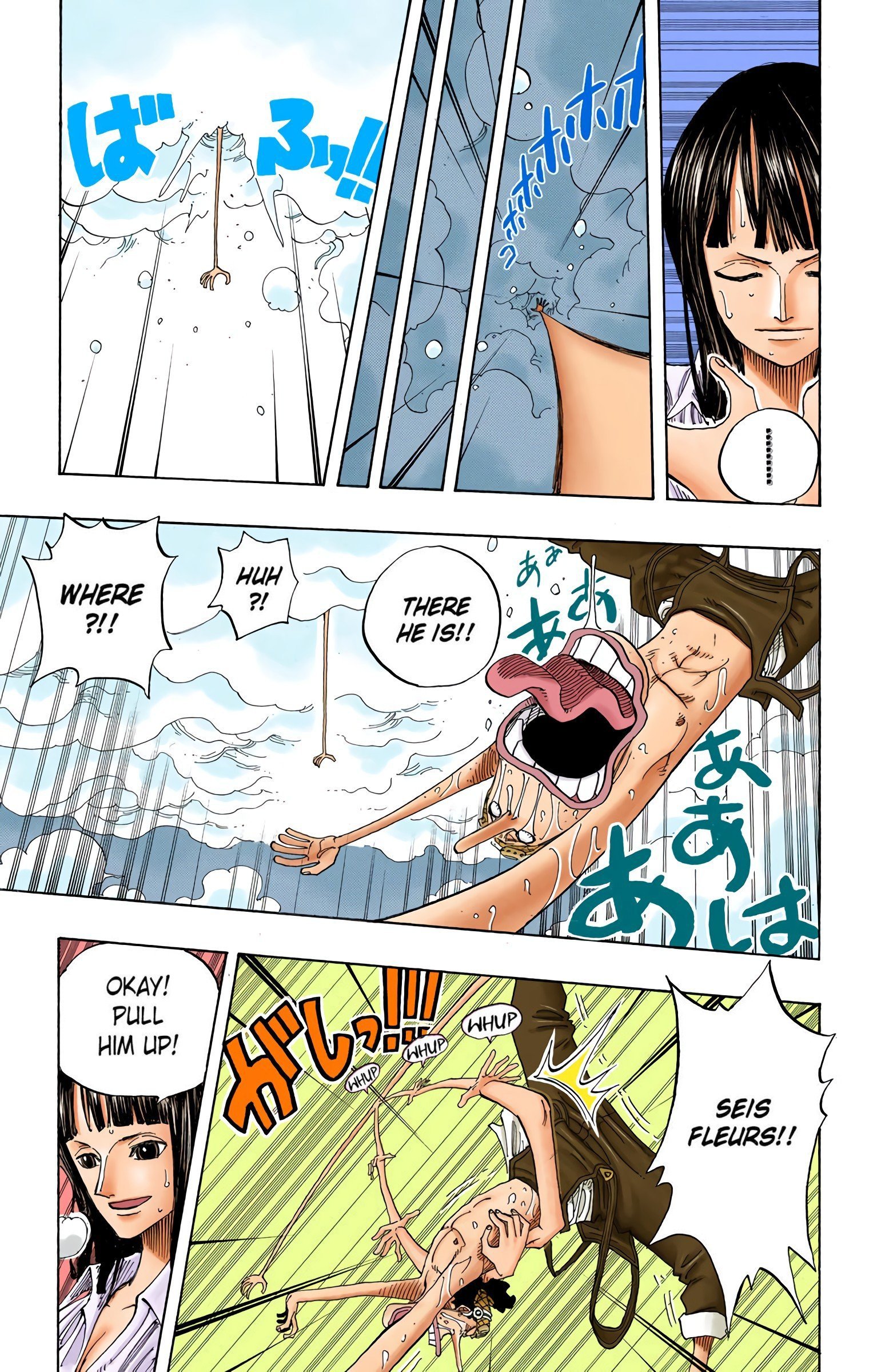 One Piece Colored Manga