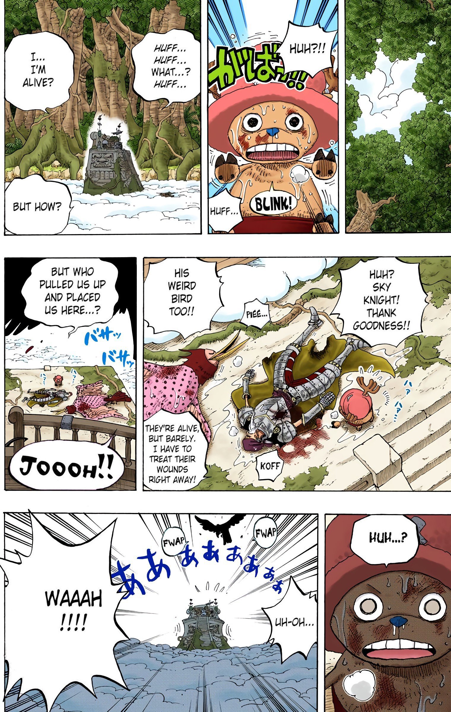 One Piece Colored Manga